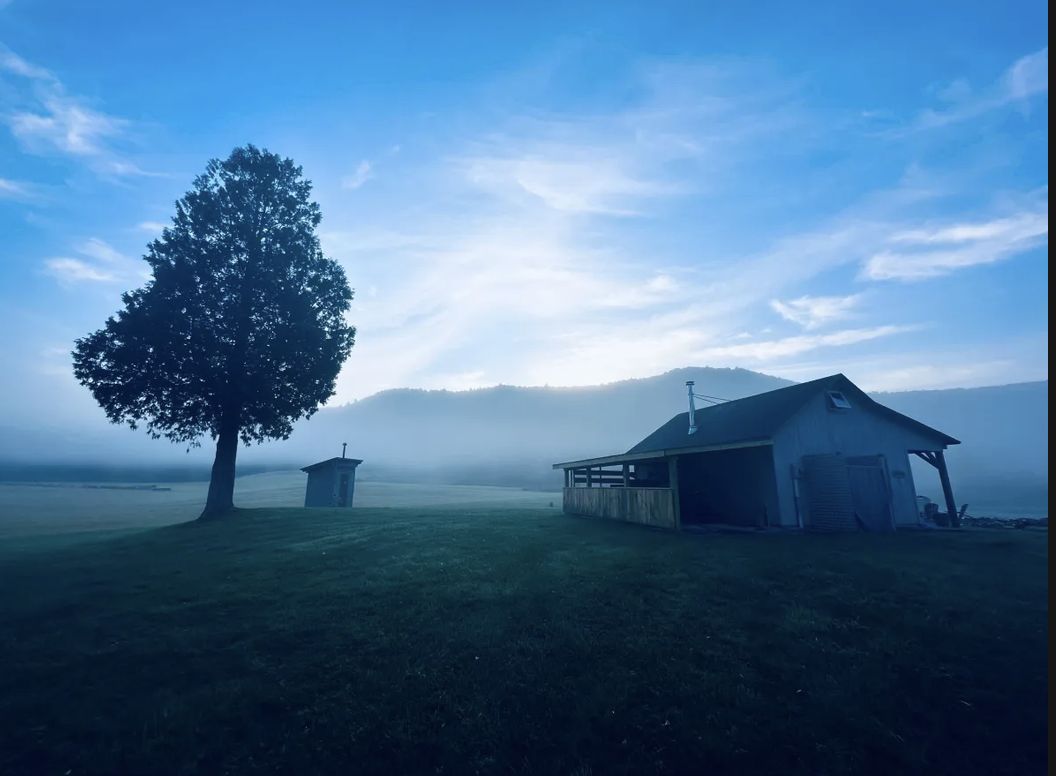 A lone tree, outhouse and cabin in morning mist